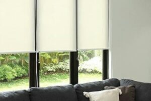 Asset (3)